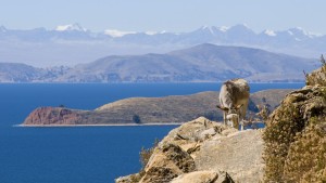 Lake-Titicaca