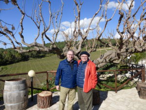 Overlooking the vineyards, Sicily, Italy 2016